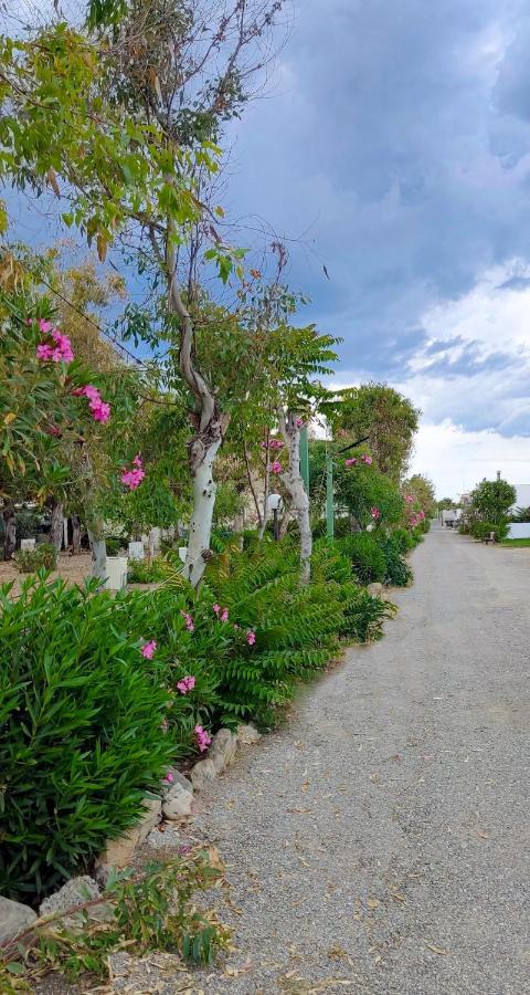 Camping Village Torrenova ชิโรมารีนา ภายนอก รูปภาพ